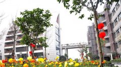 成都石室天府中学
