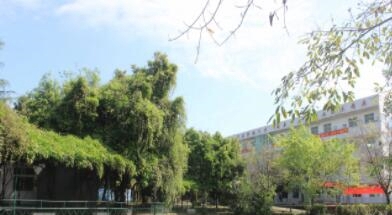 成都青华职业学校